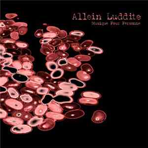 Allein Luddite - Musique Pour Personne download mp3 flac