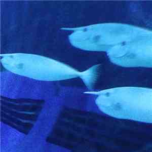And Protector - Cold download mp3 flac