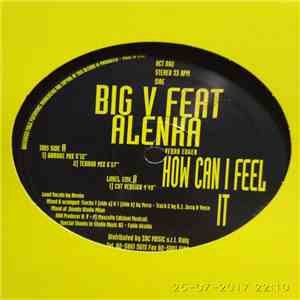 Big V  Featuring Alenka - How Can I Feel It download mp3 flac