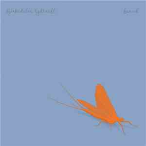 Bjerkedalen Lydkraft - Farvel download free