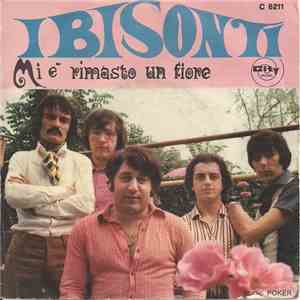 Bruno Castiglia E I Bisonti - Mi E' Rimasto Un Fiore download mp3 flac