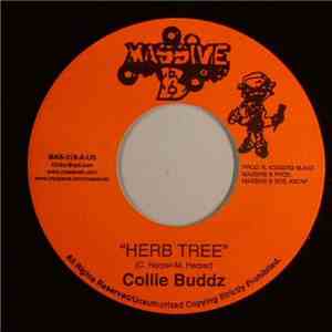 Collie Buddz - Herb Tree / Hustle download free