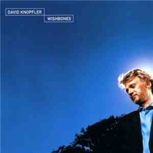 David Knopfler - Wishbones download mp3 flac