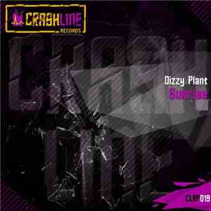Dizzy Plant - Sunrise download mp3 flac
