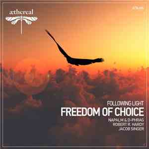 Following Light - Freedom Of Choice download mp3 flac