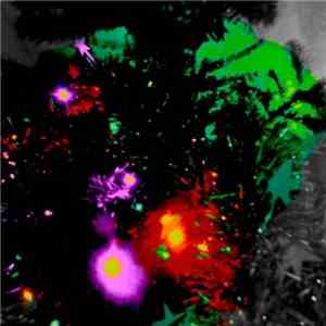 Legendary Pink Dots - The Legendary Pink Dots' Christmas Album  download free
