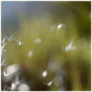 Logreybeam - Rem.Rem download free