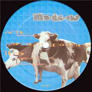 Master Factory Sound System - Mad Cow download mp3 flac