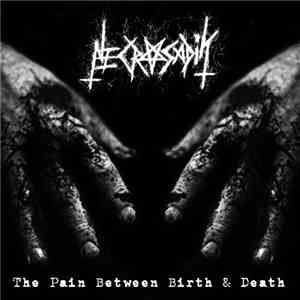 Necrosadik - The Pain Between Birth & Death download mp3 flac