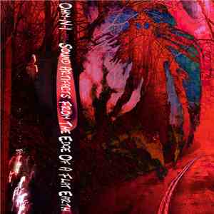 Ohm-N-I - Sound Artifacts From The Edge Of A Flat Earth download mp3 flac