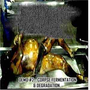 Purulent Pancreatic Gastrinoma Seepage - Demo #2 - Corpse Fermentation & Degradation download free