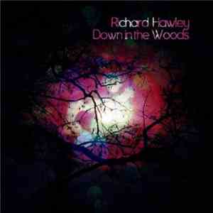 Richard Hawley - Down In The Woods download free