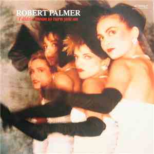 Robert Palmer - I Didn't Mean To Turn You On download mp3 flac