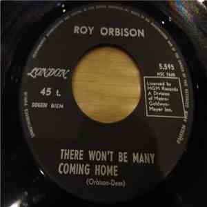 Roy Orbison - There Won't Be Many Coming Home download mp3 flac