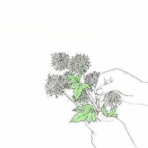 Sanso-Xtro - Sentimentalist download mp3 flac