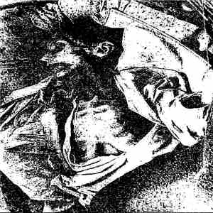Septicemic Plague - Nervous Naufragii download free