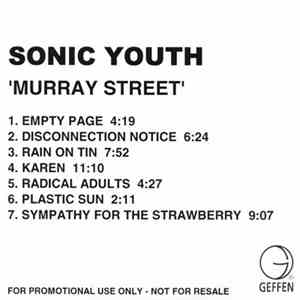 Sonic Youth - Murray Street download mp3 flac