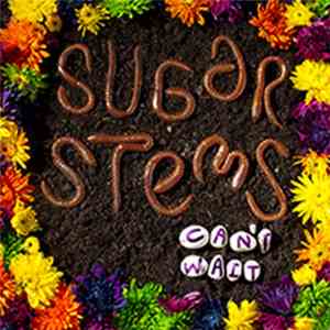 Sugar Stems - Can't Wait download mp3 flac