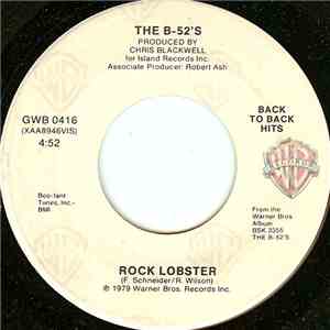 The B-52's - Rock Lobster / Private Idaho download free