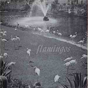 The Flamingos - Dream of a Lifetime download mp3 flac