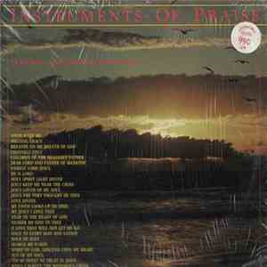 The Tom Keene Orchestra - Instruments Of Praise download mp3 flac