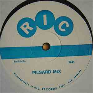 Unknown Artist - Pilsard Mix download mp3 flac