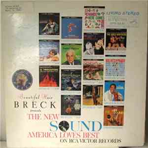 Various - Beautiful Hair Breck Presents The New Sound America Loves Best download mp3 flac