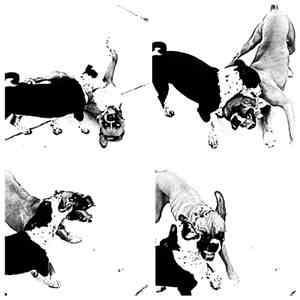Velvetarion - Love Loser download mp3 flac