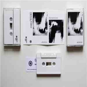 Virtual Forest - Telling The Bones download free