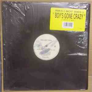 Was (Not Was) - Boy's Gone Crazy download mp3 flac