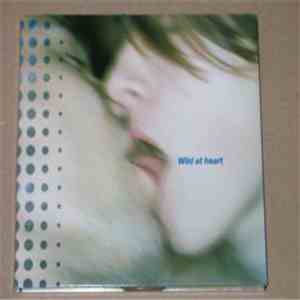 Zabriskie Point  - Wild At Heart download mp3 flac