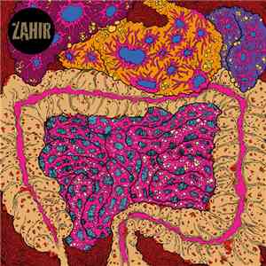 Zahir - What Noise? download free